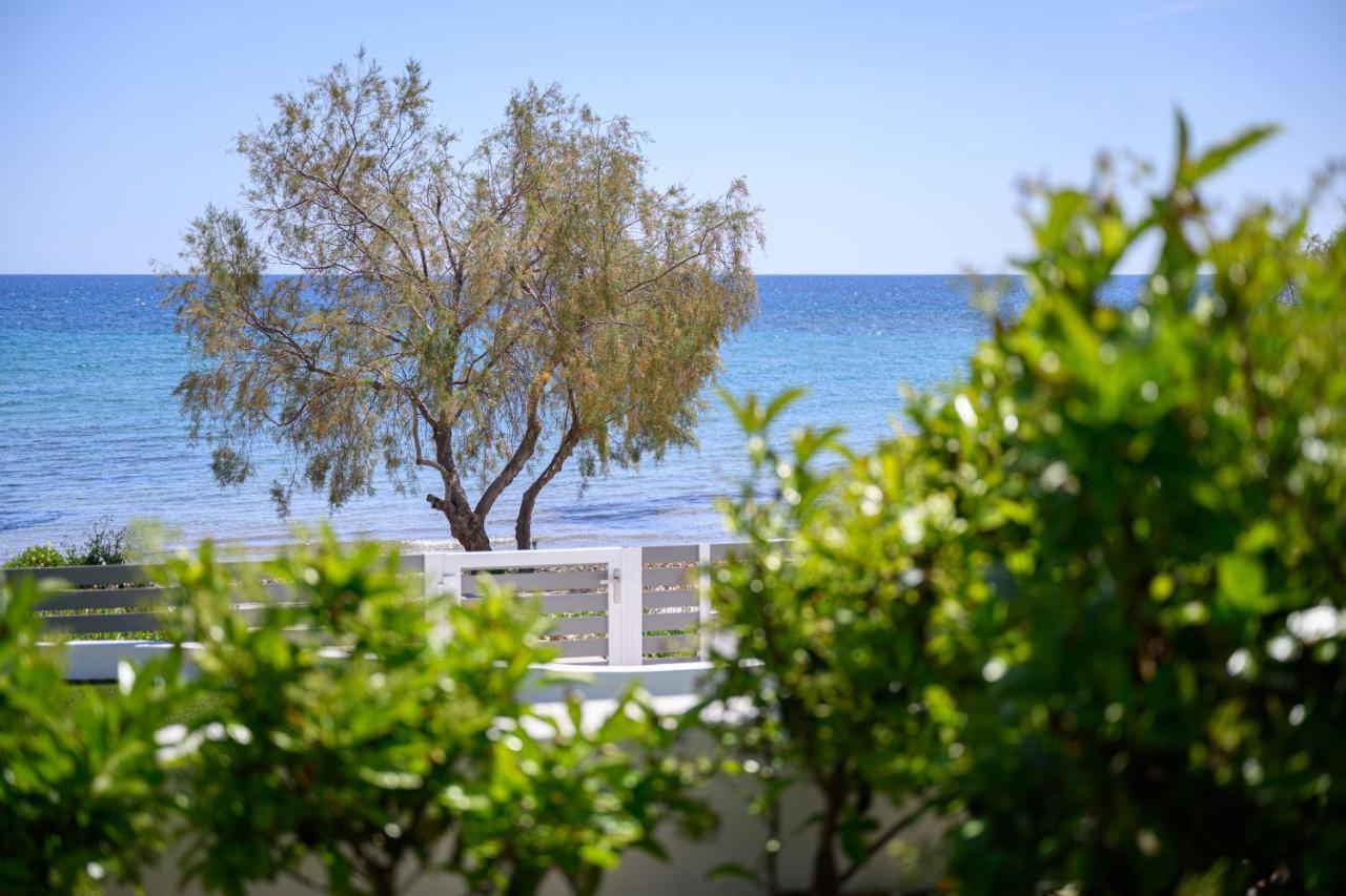 Cubes On The Beach Athens Airport Artemida (Attica) Exterior foto